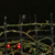 tnfence